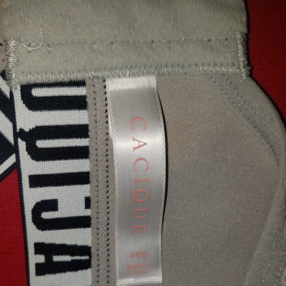 Under garments 46 D Cacique
